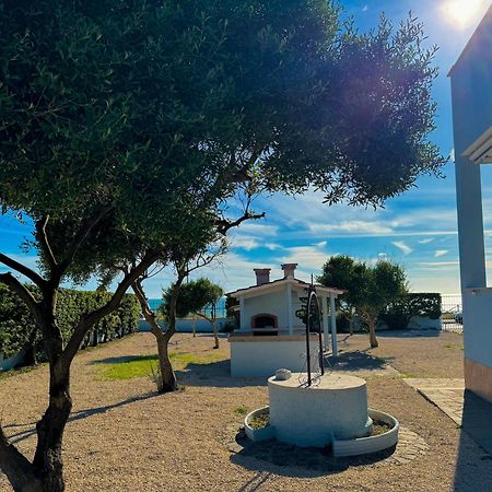 Edo House Anzio - Beachfront - Fronte Mare - Affittacamere Εξωτερικό φωτογραφία